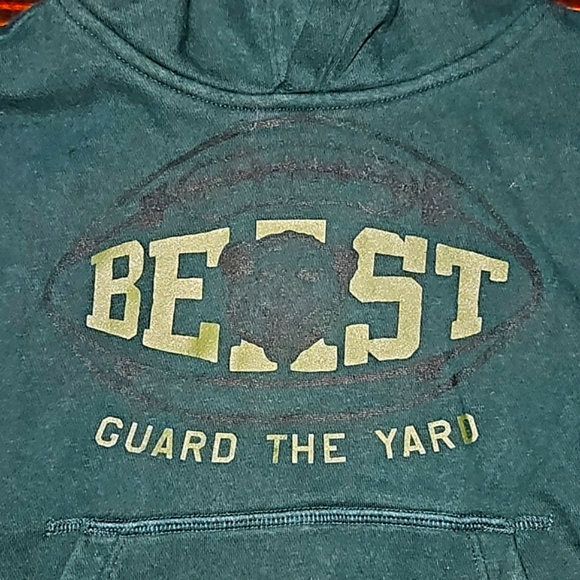 GAP PULLOVER HOODIE - Picture 2 of 6